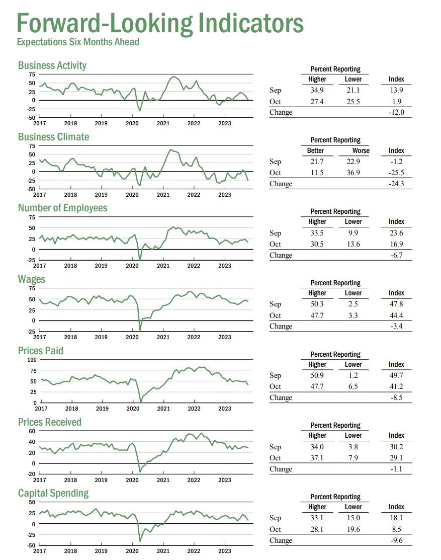 Future-Looking Indicators: expectations 6-months ahead