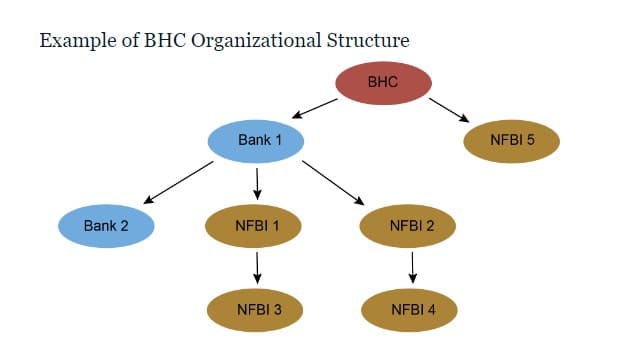 Example of BHC Organizational Structure
