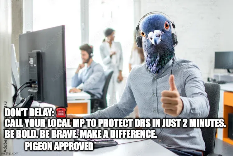 IMAGE DEPICTS CALL CENTER OFFICE PIGEON - THUMBS UP